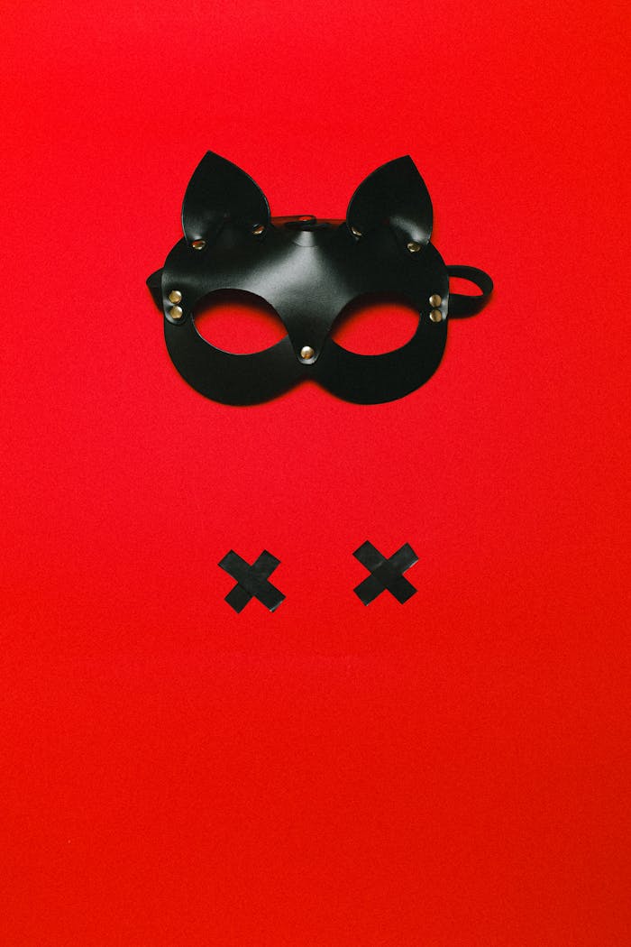 Black leather mask with a bold red backdrop suggesting themes of mystery and sensuality.